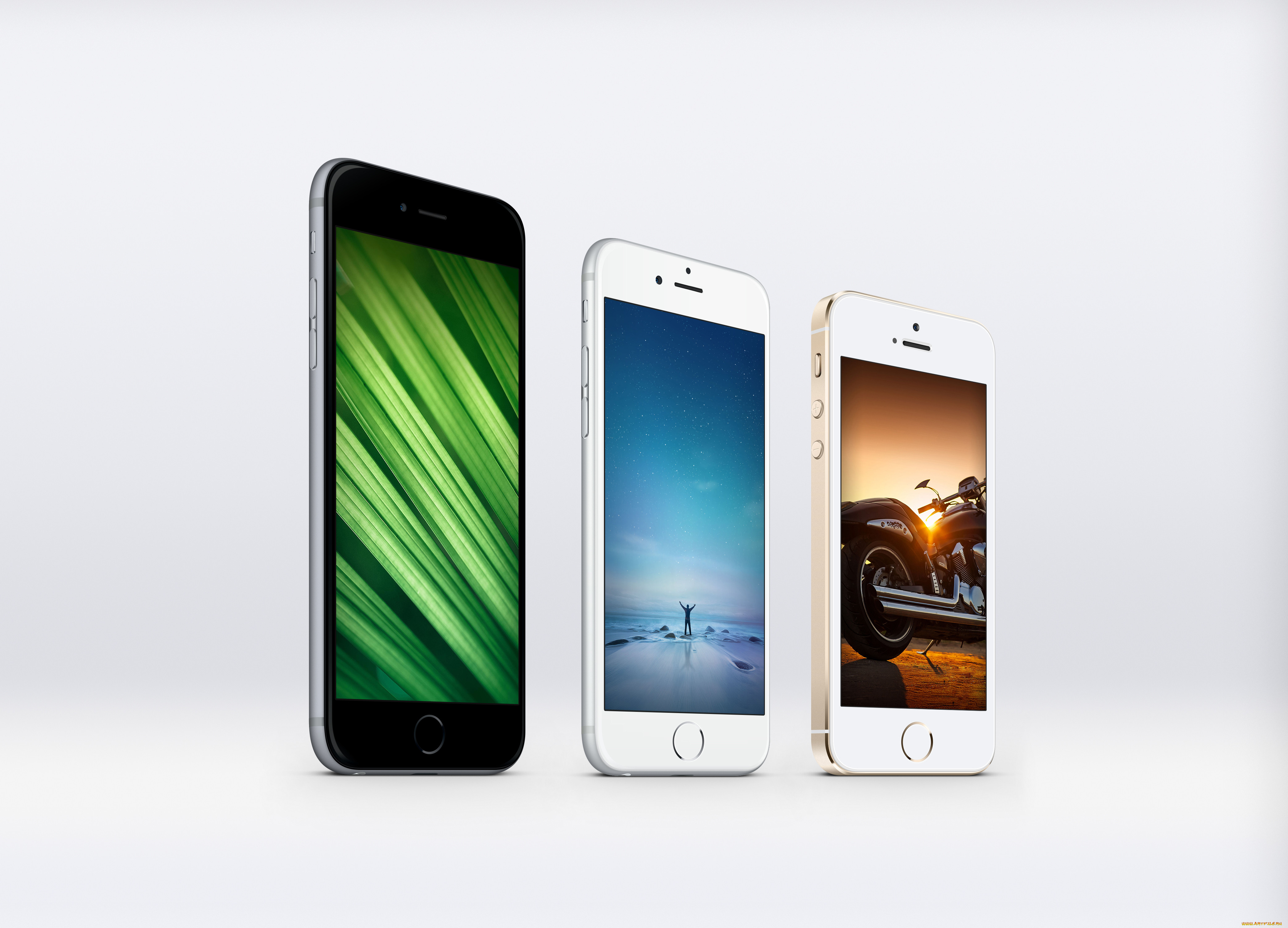 , iphone, 